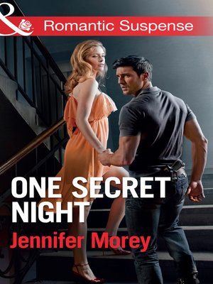 cover image of One Secret Night